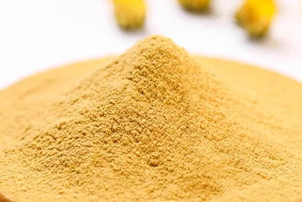 Chrysanthemum Powder